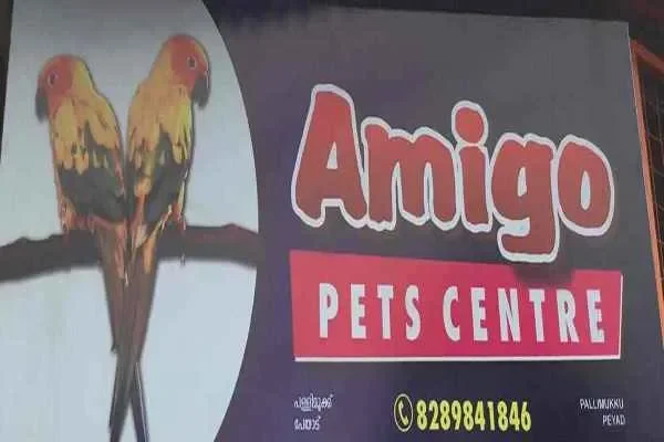 Image of: Amigo Pet Center